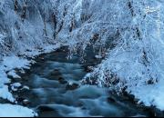 عکس/ رودخانه‌ زمستانی در شهسوار