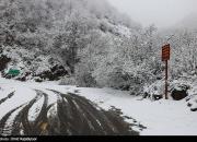 بارش باران و کولاک برف در برخی استان‌ها