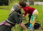 تصویر مادر شالیکار گیلانی جهانی شد