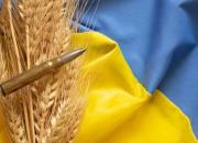 سفیر اوکراین: ترکیه غلات سرقت شده ما را می‌خرد