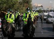 عکس/ رژه اسب سواران یگان ویژه ناجا