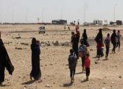  بمباران خانواده‌های فراری از داعش توسط آمریکا
