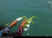تصاویری غم‌بار از قربانیان پرواز ایرباس ۶۵۵ هواپیمایی ایران +فیلم