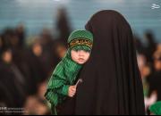 اجتماع بزرگ شیرخوارگان حسینی در ایران و ۴۰ کشور جهان +تصاویر