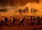 فیلم/ آتش سوزی در جنگل‌های الجزایر