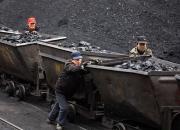 تبعات تحریم زغال سنگ روسیه توسط لهستان؛ مردم چوب جمع می‌کنند