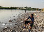 عکس/ حضور مردم کنار رودخانه دز
