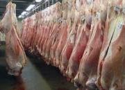 چه نکاتی باید در شرایط شیوع کرونا برای خرید گوشت و مرغ رعایت شود؟