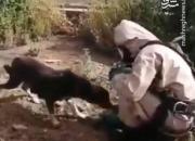 نجات توله سگ، رفتار مادر و مهربونی آتشنشان ماهشهری +فیلم
