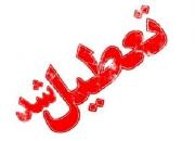 همه مدارس استان بوشهر تا پایان هفته تعطیل شد