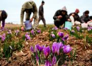 راه‌اندازی دو ابزار مالی جدید در بورس کالا