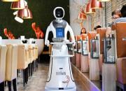 عکس/ استفاده از ربات در رستوران هلندی