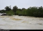 عمق آبگرفتگی برخی مناطق سیل‌زده سیستان و بلوچستان به ۸ متر می‌رسد