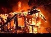 ادامه آتش سوزی گسترده در جنگل های کالیفرنیا+ فیلم