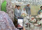 برپایی ازدواج علوی در بیش از 12 امامزاده استان 