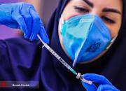 ثبت نام بیش از ۱۶ هزار نفر برای تزریق واکسن کووایران برکت