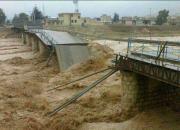 فیلم/ تخریب پل توکل آباد در کرمان بر اثر سیلاب