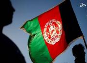 چرا مواجب بگیران افغان در برابر غارت اموال افغانستان روزه سکوت گرفتند؟