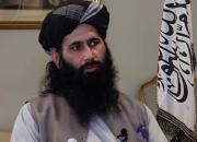 طالبان: پناه دادن ما به «ایمن الظواهری» دروغ است