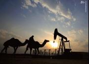 عربستان قیمت نفت خود را بالا برد