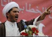 تاکید پارلمان اروپا بر ضرورت آزادی شیخ سلمان