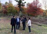 جنگل خواری در گرگان/ مدیرکل منابع طبیعی گلستان احضار شد