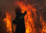 آتش سوزی یونان‌ را هم فرا گرفت+ فیلم