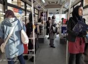 اجرای طرح نذر سلامت در خطوط اتوبوسرانی