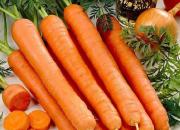 کاهش قیمت هویج