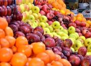 ۴ عامل افزایش دلالی میوه را بشناسید