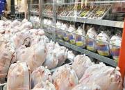 قیمت روز انواع مرغ در بازار +جدول