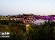 عکس/ حال و هوای پل طبیعت در نوروز ۱۴۰۱