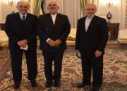 جزئیات دیدار ظریف با رئیس اتاق بازرگانی مشترک ایتالیا و ایران