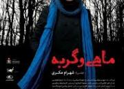 رکورد طولانی‌ترین اکران تاریخ سینمای ایران برای «ماهی و گربه»