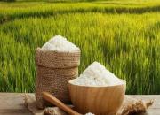 بهترین روش‌های نگهداری برنج در خانه