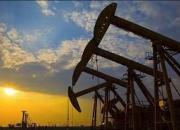 جزئیات ۴ قرارداد جدید شرکت ملی نفت ایران