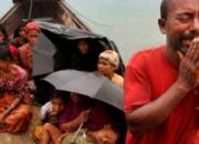قاچاقچیان انسان 30 صیاد مسلمان میانماری را ربودند