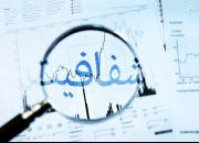 شفافیت آرا نمایندگان: آری+ عکس