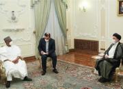 رئیسی: ایران و نیجریه ظرفیت‌های مناسبی برای گسترش روابط دارند