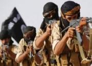فراخوان سرکرده داعش برای درگیری با عناصر وابسته به امارات در عدن