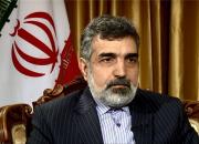 آژانس اتمی انتشار اطلاعات و نامه‌های محرمانه ایران را متوقف کند