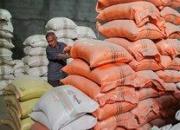  کشف 1500 تن برنج احتکارشده در اصفهان