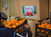 هیأتی‌ها و مسجدی‌ها سفره یلدا نیازمندان را رنگین کردند+عکس