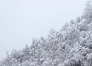 عکس/ بارش برف در آخرین روزهای زمستان