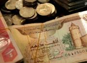 سرمایه گذاری خارجی؛ بهانه جدید امارات برای ماجراجویی در منطقه