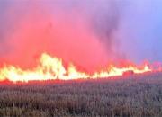 تداوم آتش‌سوزی در مزارع پلدختر
