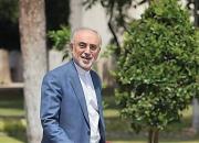 علی اکبر صالحی: تصمیم قطعی برای انتخابات ۱۴۰۰ نگرفته‌ام