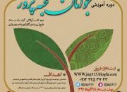 نخستین دوره آموزشی تشکیلاتی «جوانان نخبه‌پرور» در تبریز برگزار می‌شود