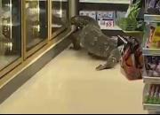 فیلم/ ورود یک مارمولک عظیم‌الجثه به یک فروشگاه