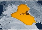 آمریکا در پشت پرده بازگرداندن داعش به دیالی عراق است
